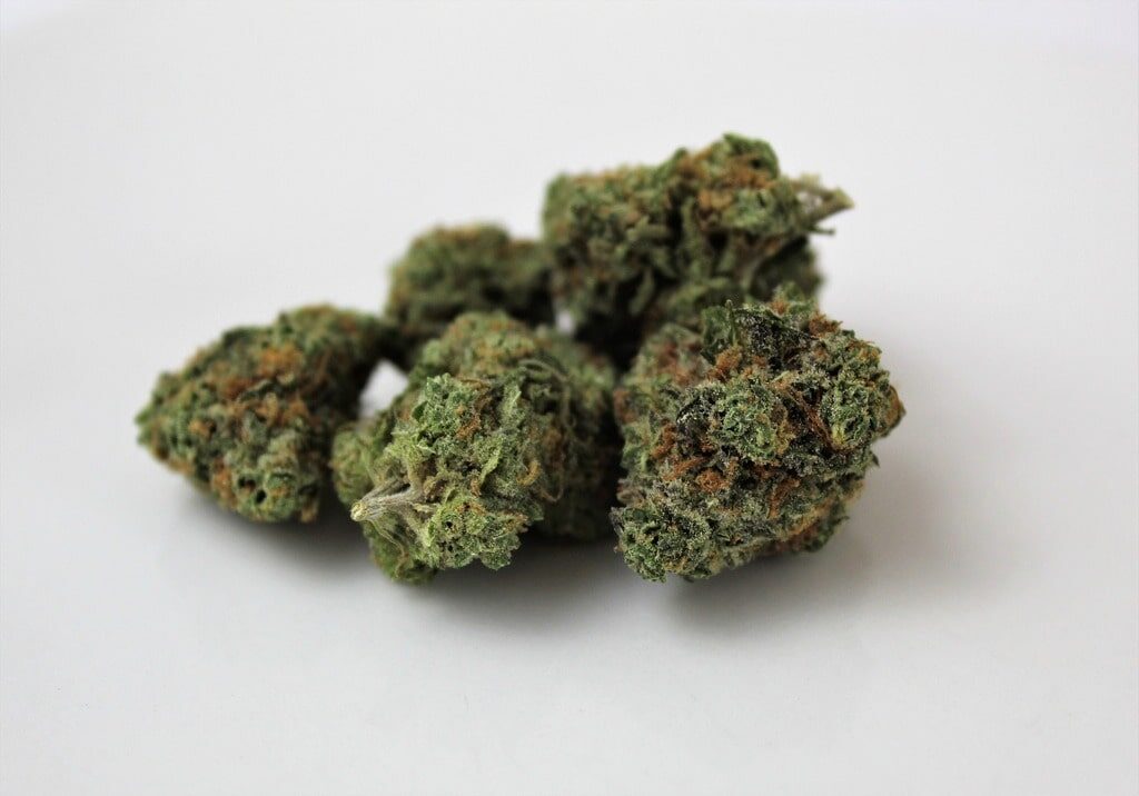 Scheda per distinguere Differenze morfologiche tra cannabis indica e cannabis sativa