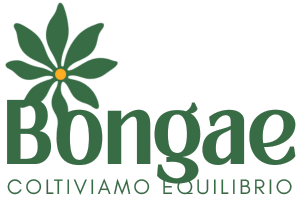 Bongae