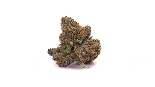 Dinamed CBD 25% ~ Cannabis Light | Indoor - Bongae