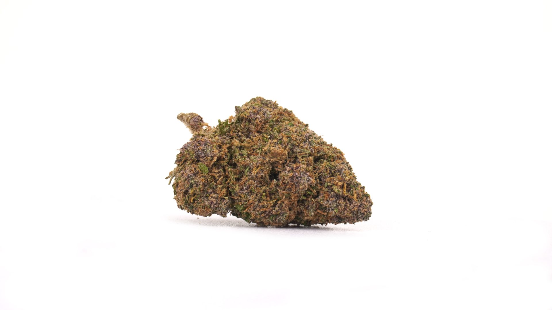 Purple - CBD 23% | Cannabis Light | Indoor - Bongae