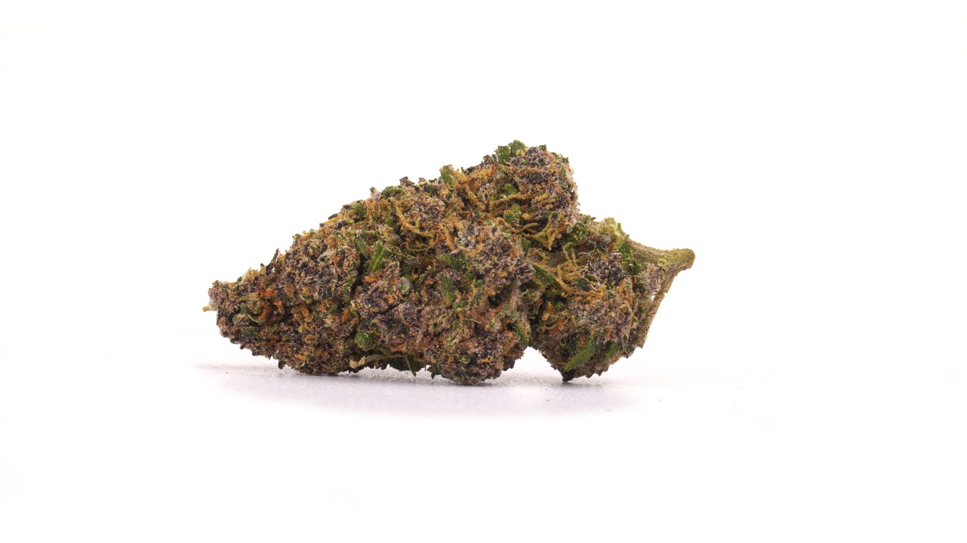 Purple - CBD 23% | Cannabis Light | Indoor - Bongae