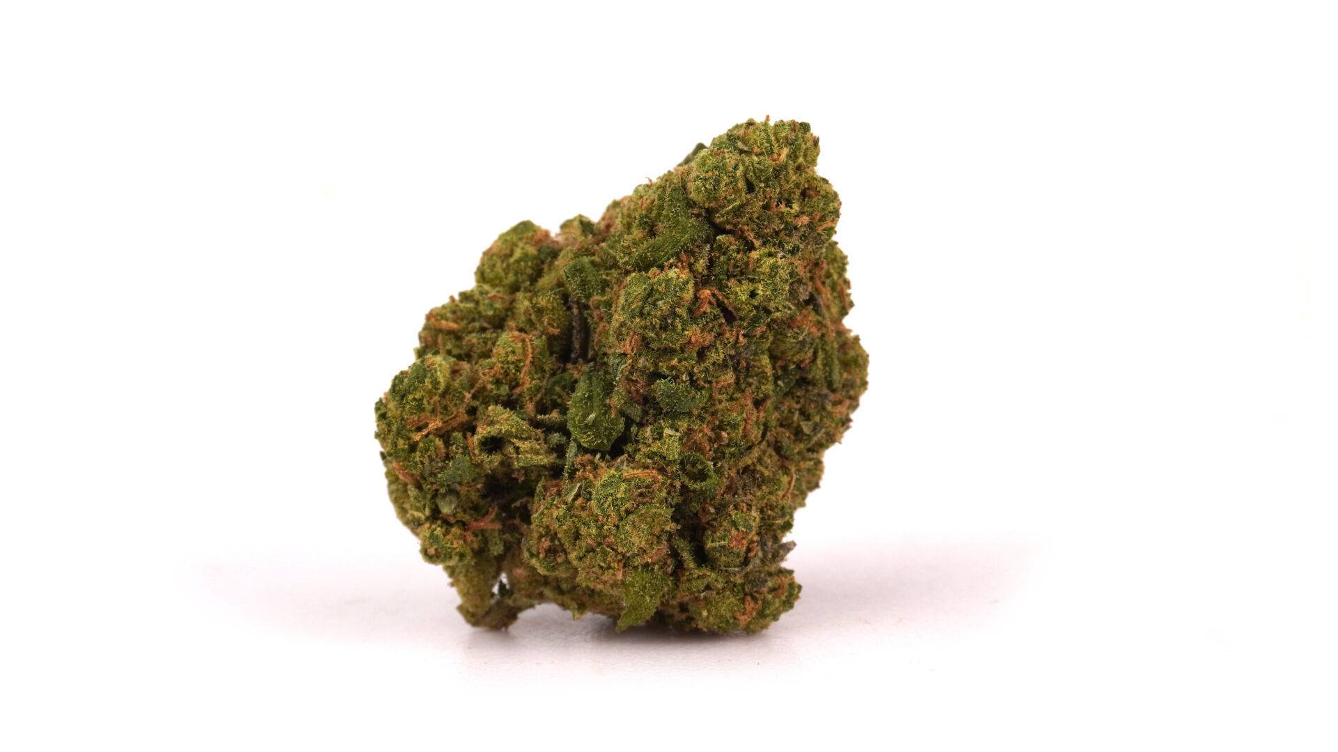 THERAPY CBD