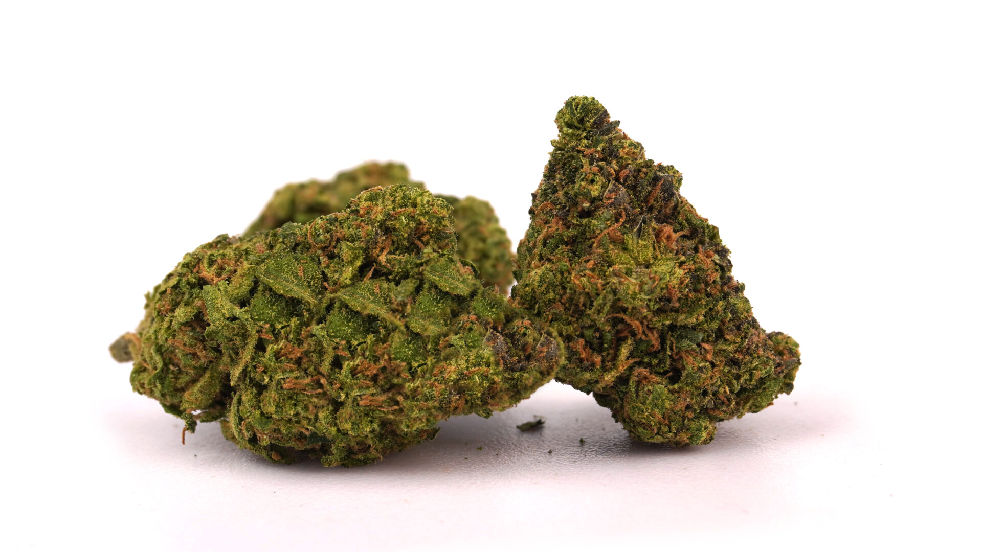 THERAPY CBD
