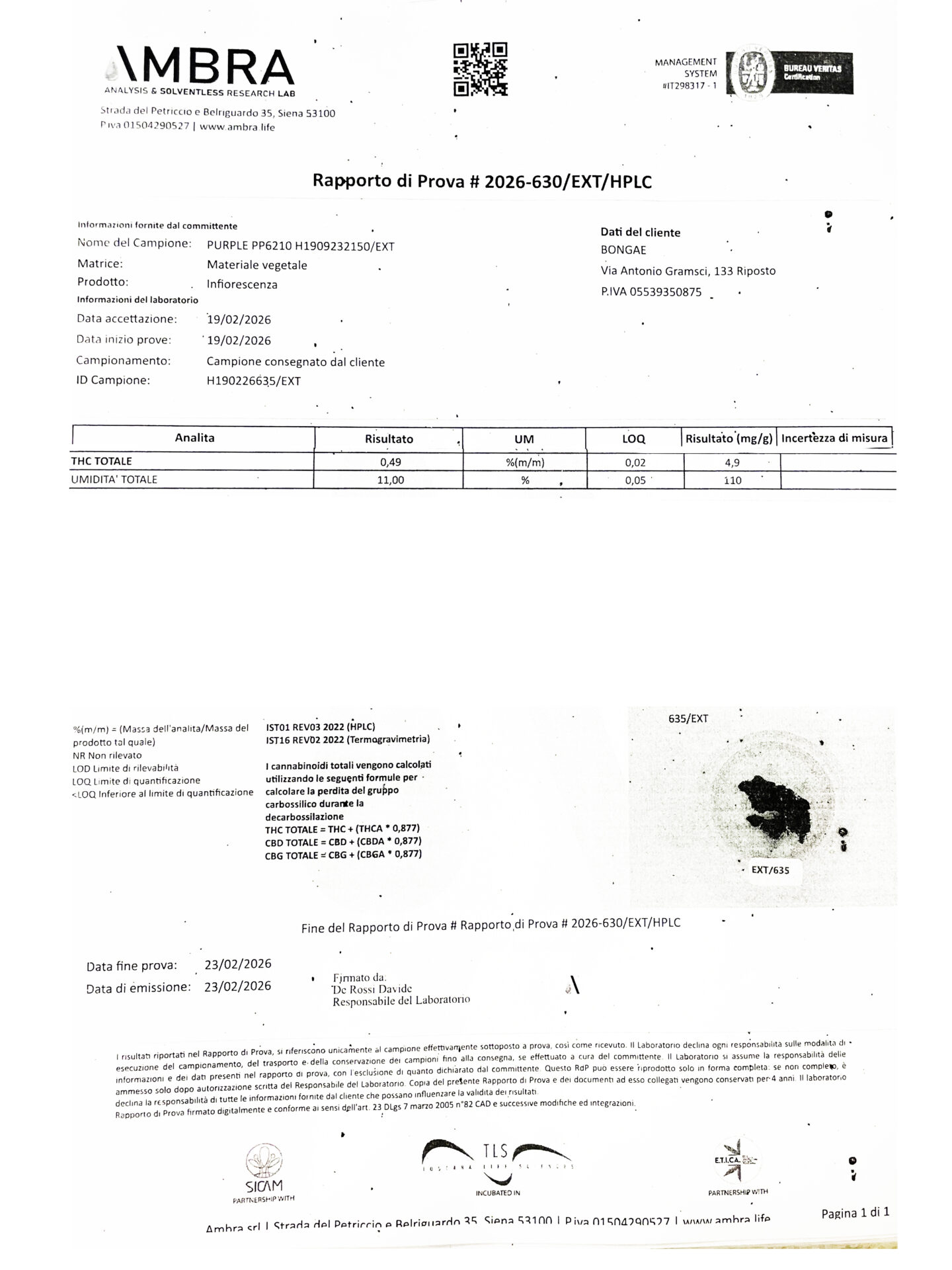 Purple - CBD + CBG 23% | Cannabis Light | Indoor - immagine 6