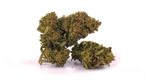 White Widow  – CBD + CBG 18% | Cannabis Light | Outdoor